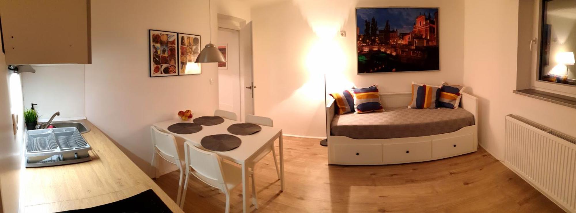Apartment Tomc Ljubljana Kültér fotó